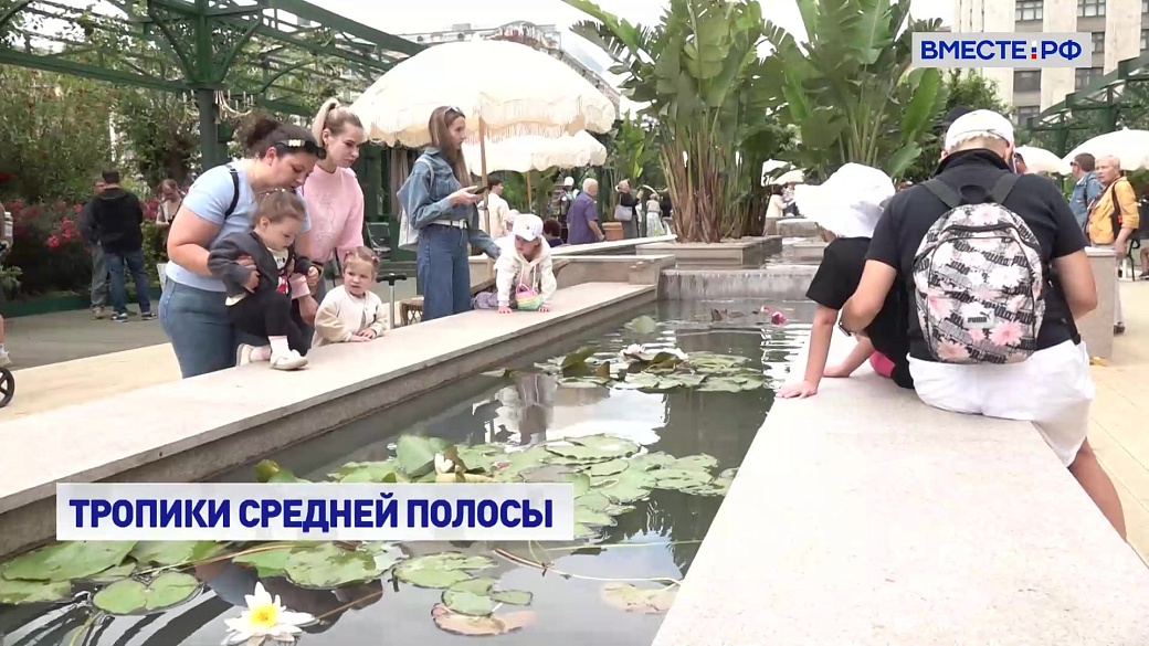 Local video