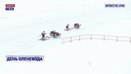 Ямал принял эстафету главного праздника тундры — Дня оленевода