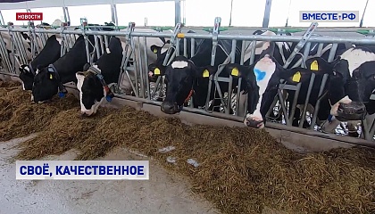 Орловская область: от племенных хозяйств до рекордных надоев