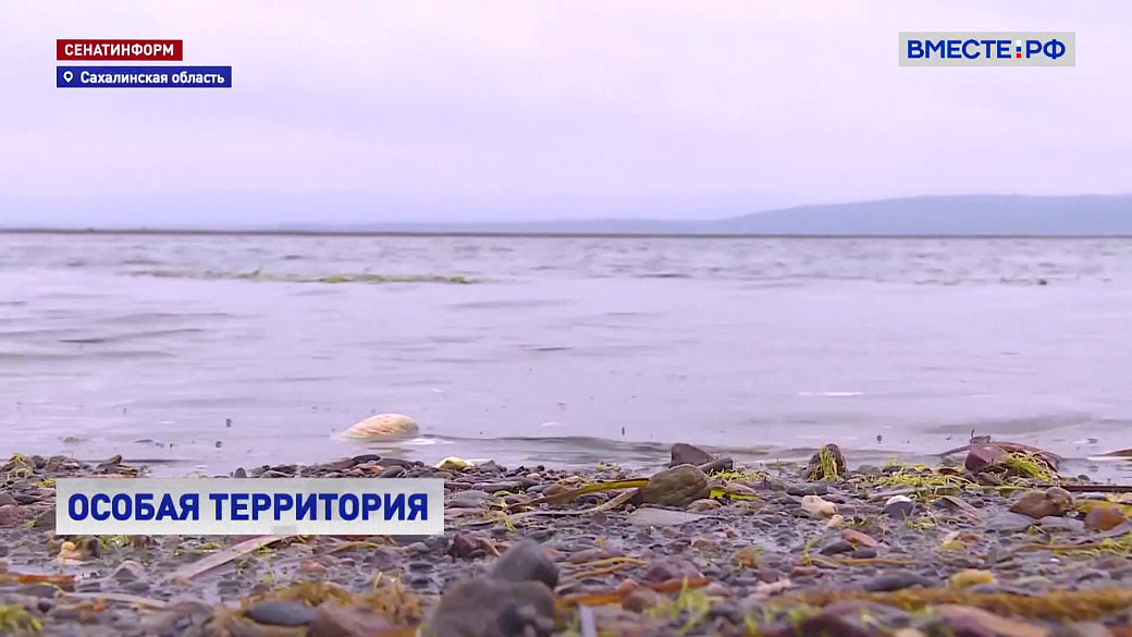 Local video