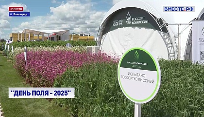 РЕПОРТАЖ: «День поля — 2025»