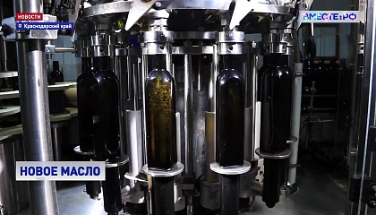 На Кубани начали производить высокоолеиновое рапсовое масло