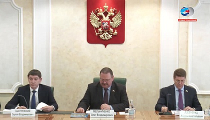 Заседание Совета по местному самоуправлению при Совете Федерации. Запись трансляции 29 апреля 2019 года