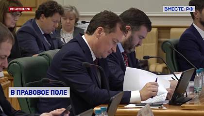 Интеграция ДНР в правовое поле России: акцент на промышленности и Приазовье