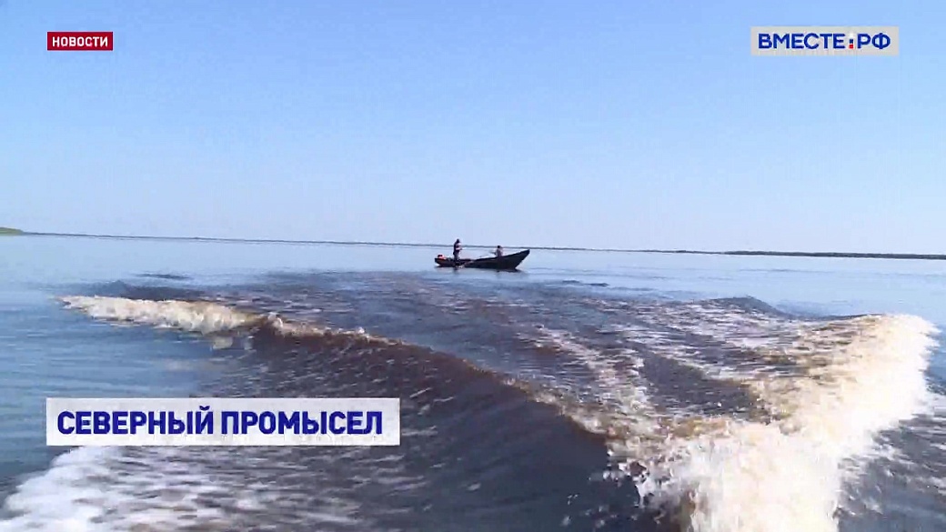Local video
