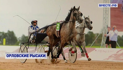 Лошадь, обгоняющая ветер: орловским рысакам — 250 лет