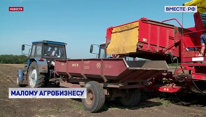 На поддержку небольших фермерских хозяйств в этом году Минсельхоз выделит 15 млрд рублей