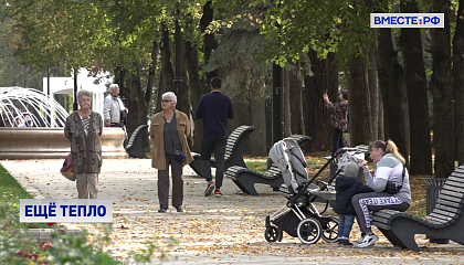 Осеннее тепло не спешит уходить из центральной России