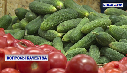 Роспотребнадзор расскажет россиянам как правильно выбрать овощи и фрукты