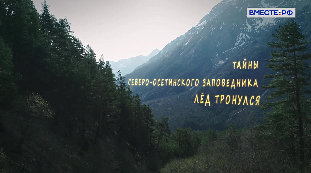 Local video