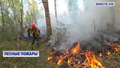 В 18 российских регионах обстановка с лесными пожарами остается сложной
