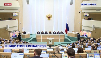 В РФ удалось остановить рост кибермошенничества, констатировали сенаторы