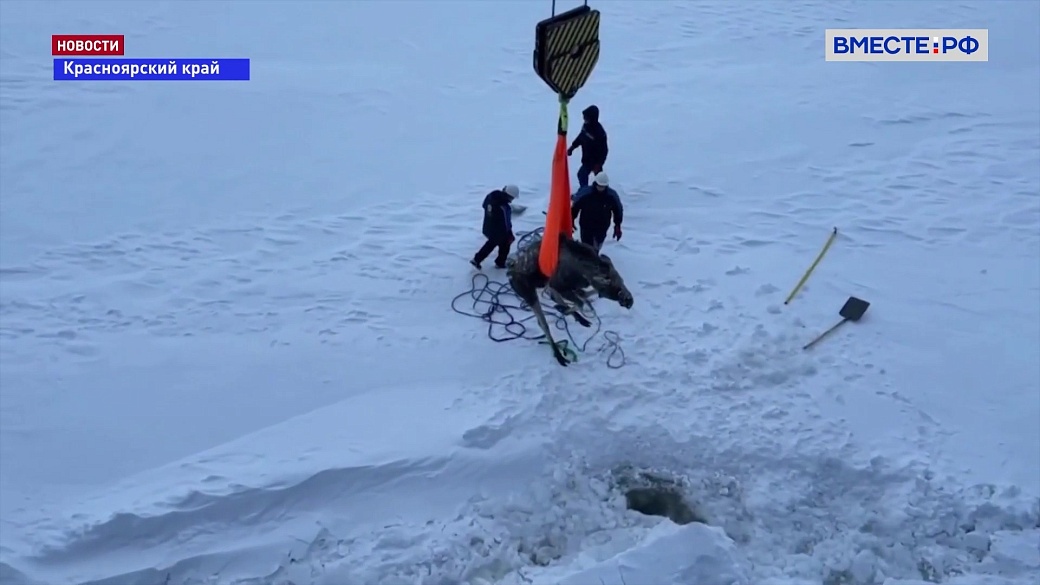 Local video