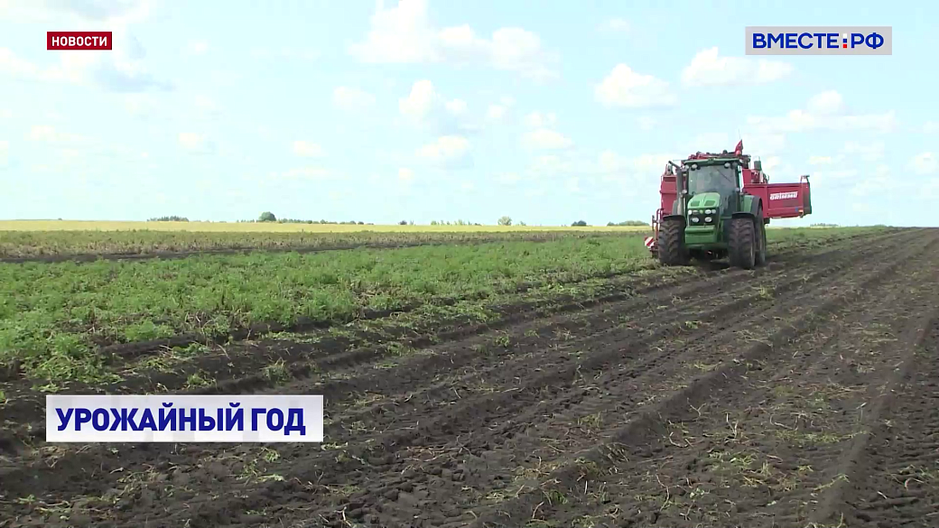 Local video
