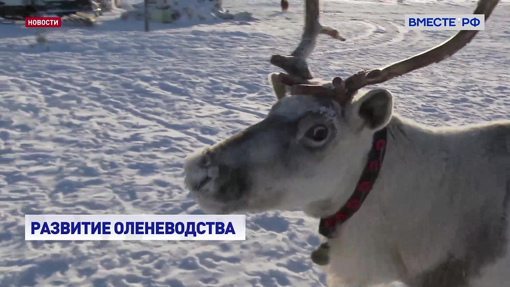 Local video