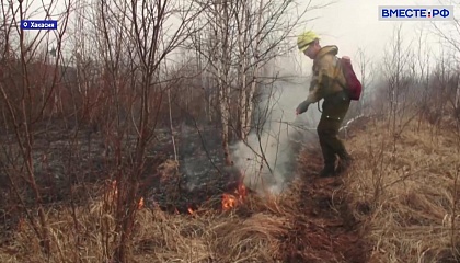 В российских регионах борются с лесными пожарами