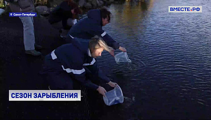 В Финский залив выпустили более 4 тысяч мальков сига