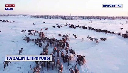 Вход воспрещен: как охраняют ямальские заказники