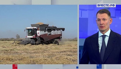 Российские аграрии собрали более 137 миллионов тонн зерновых