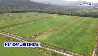 Более 123 миллионов гектаров российской земли под угрозой опустынивания