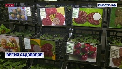 Садоводы на выставке в Москве могут подготовиться к новому полевому сезону