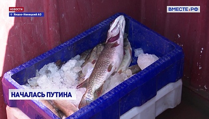 На Ямале началась летняя путина