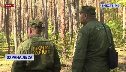 Проблемой лесной отрасли остается острый дефицит кадров