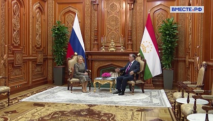 «Сенат». Выпуск 15 ноября 2025 года