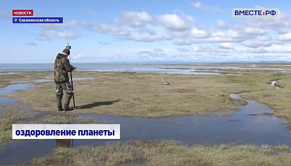 На Сахалине в рамках климатического эксперимента начали работать карбоновые полигоны