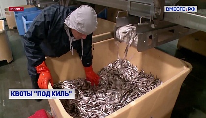 Квоты на добычу морских биоресурсов планируют увеличить с 15 до 20 лет