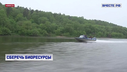 Рейды рыбоохраны на водных объектах будут проходить круглосуточно