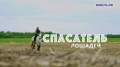 Редкие профессии. Спасатель лошадей