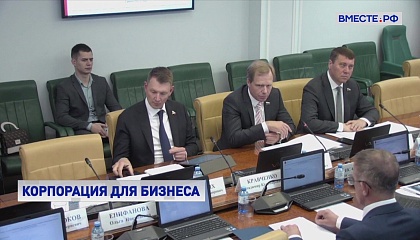 Сенатор Кутепов призвал расширить возможности Корпорации малого и среднего предпринимательства
