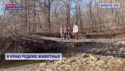 В нацпарке «Земля леопарда» в Приморье крае открыли экотропу «Навстречу мечте»