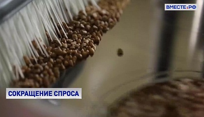 В России снижаются цены на гречку 