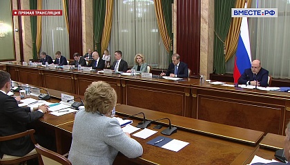 Встреча Председателя Правительства РФ Михаила Мишустина с членами Совета палаты Совета Федерации