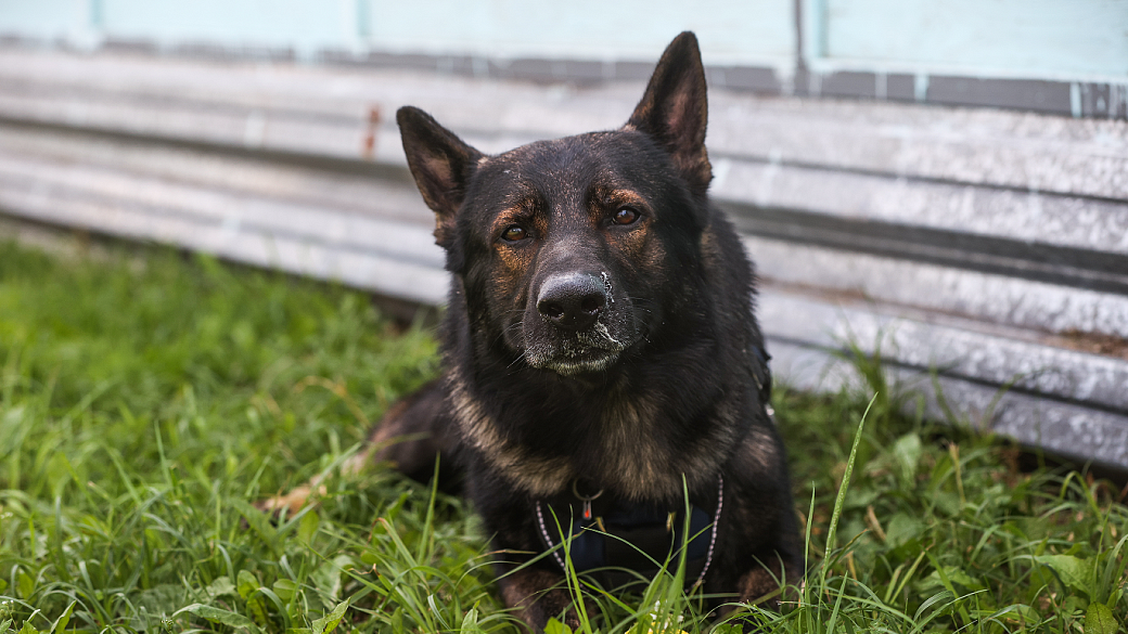 Фото: Bulkin Sergey/news.ru