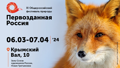 XI Общероссийский фестиваль природы «Первозданная Россия» откроется в Москве 6 марта