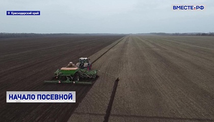 В Краснодарском крае в этом году яровыми засеют почти 2 млн га