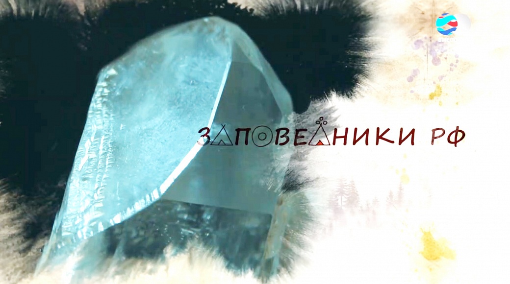Local video
