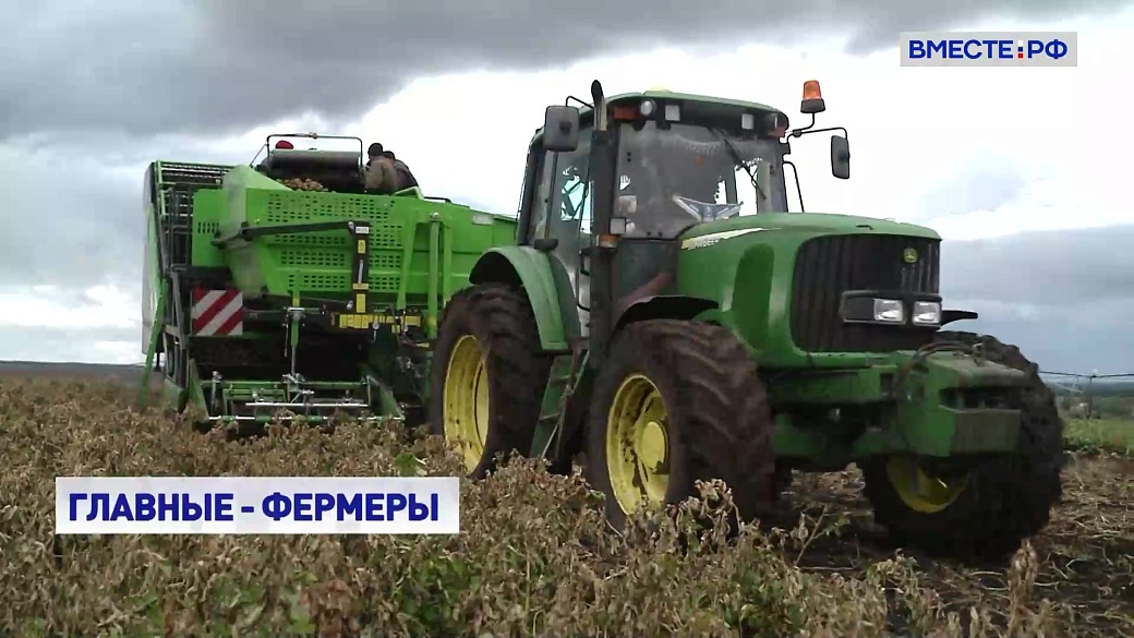 Local video