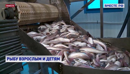 Железнодорожные перевозки рыбы с Дальнего Востока в центральные регионы РФ будут увеличены