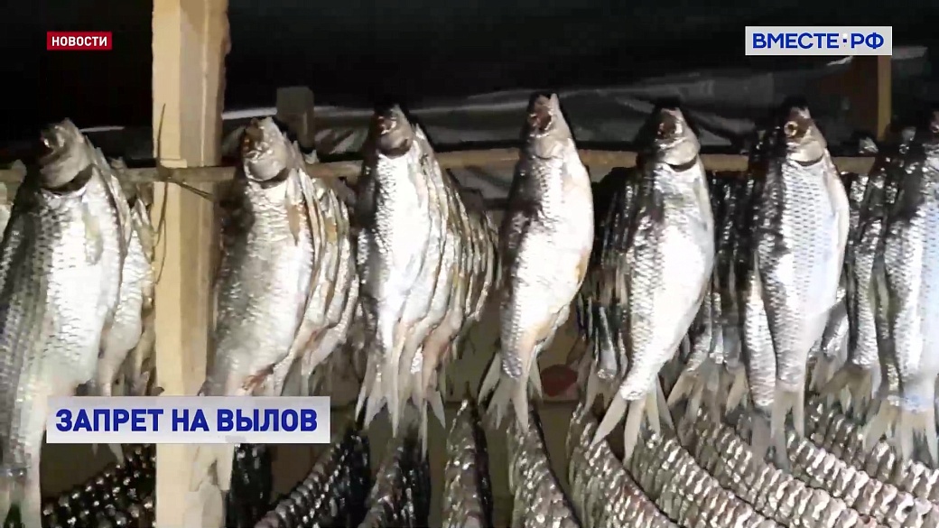 Local video