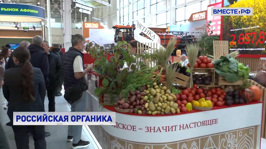 Local video