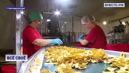 РЕПОРТАЖ: Производство яблочных чипсов в Краснодарском крае