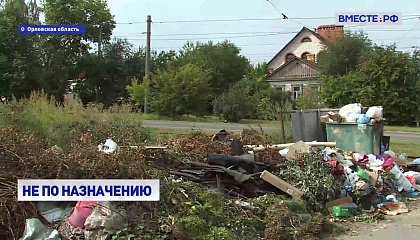 В Орловской области готовятся к запрету на выброс веток и листвы в контейнеры