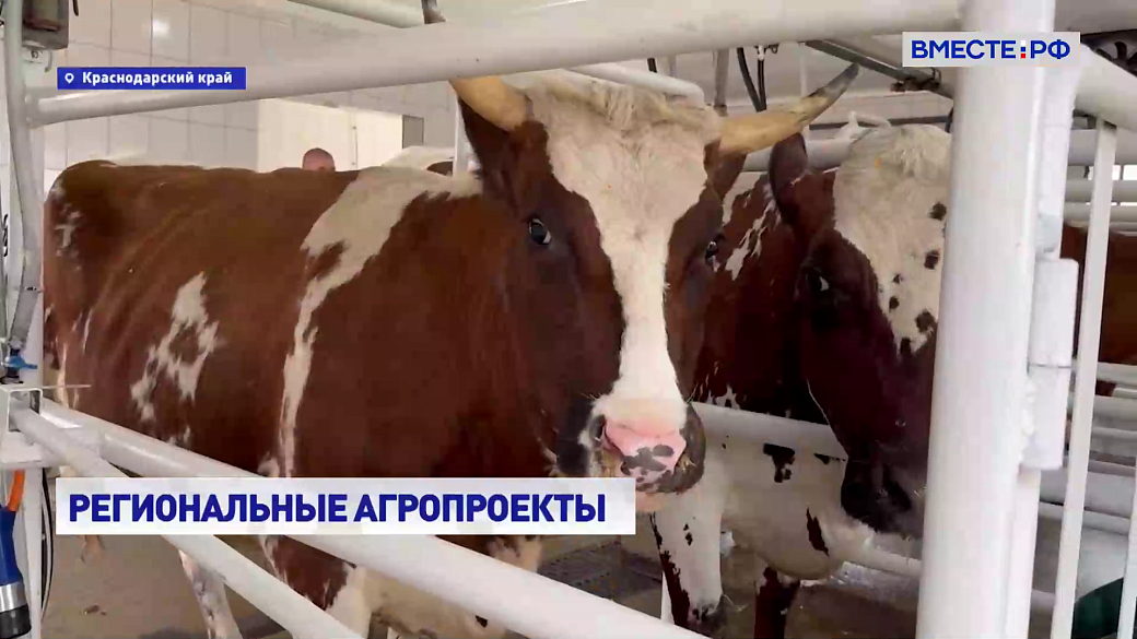 Local video