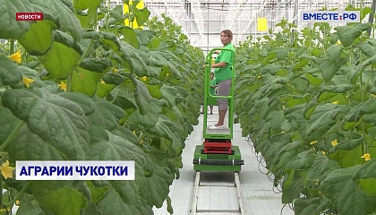 Сенаторы поддержат развитие агропромышленного комплекса Чукотки