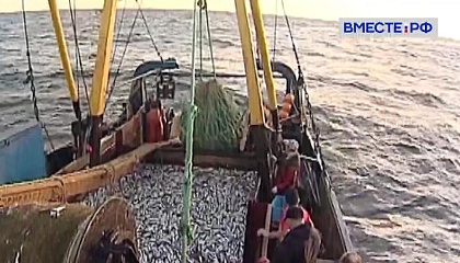 Парламентарии намерены устранить правовой пробел, который блокирует экспорт рыбной продукции из прибрежного лова