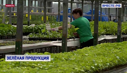 Производством органической продукции в России заинтересовались зарубежные компании